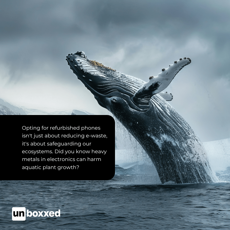 Buying pre-owned helps save the whales image